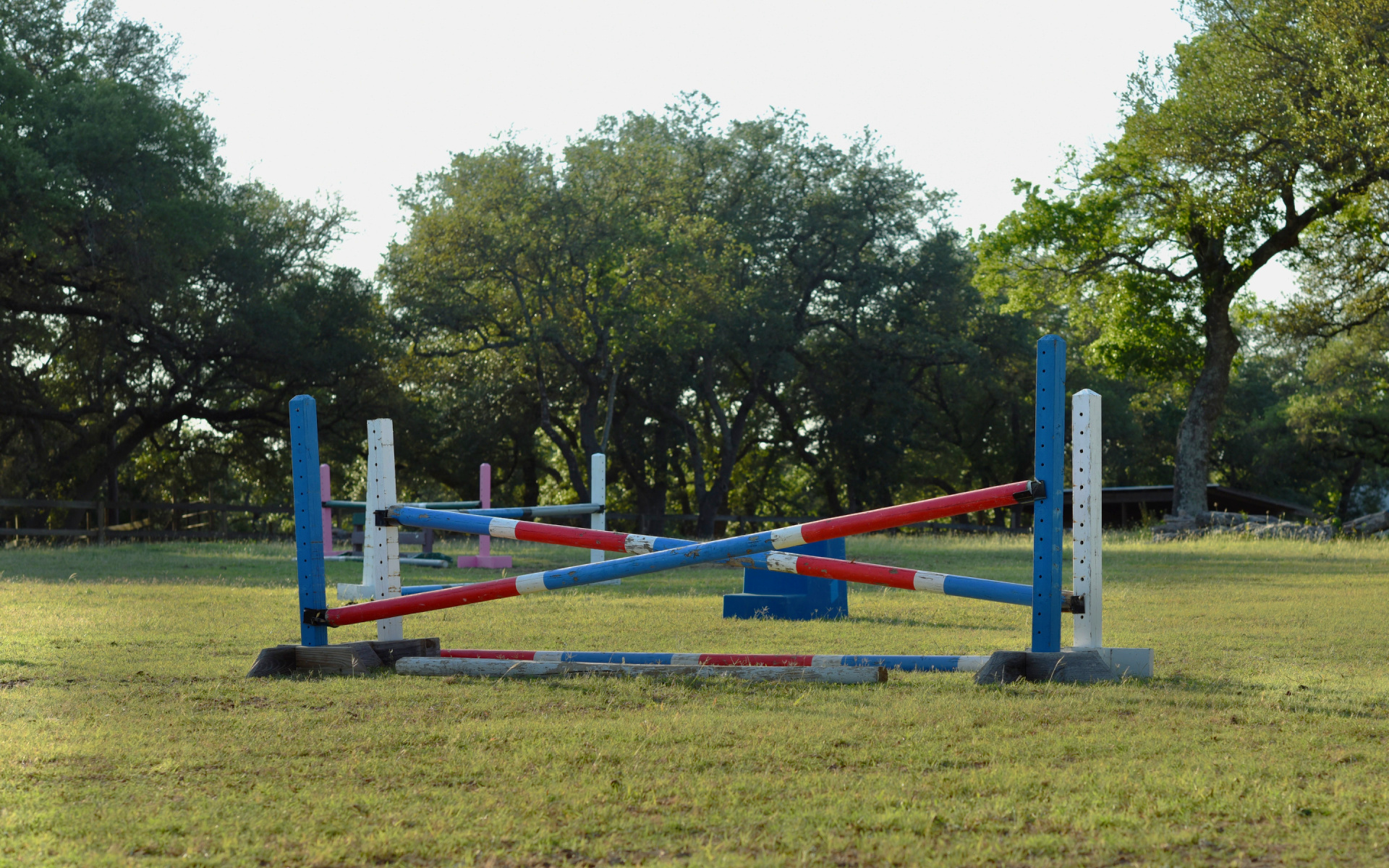 Un caballo y jinete entrenando sobre un salto.